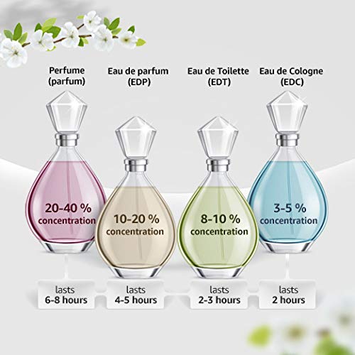 Paris Hilton Can Can Burlesque Eau De Toilette Spray for Women, 3.4 Ounce (Pack of 3)-BrightBean Baby