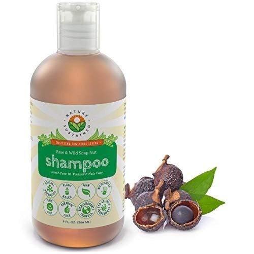 Natural Shampoo - Organic, Raw & Wildcrafted with Probiotics, Hypoallergenic Natural & Sulfate Free Shampoo for Sensitive Scalp, Dry Hair, Dandruff, Eczema & Psoriasis, 9oz, Original-BrightBean Baby