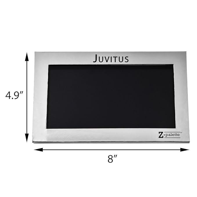 Z Palette Large Metallic Collection (Metallic Silver) with 20 Piece Metal Stickers - Made Exclusively for JUVITUS-BrightBean Baby