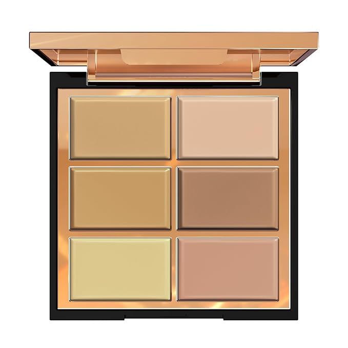 FV 6 Colors Cream Concealer Palette, Full Coverage & Long Lasting Colors Corrector Palette for Dark Circles, Redness, Acne with Natural Finish Cream Foundation Palette, 01 Light Shade-BrightBean Baby