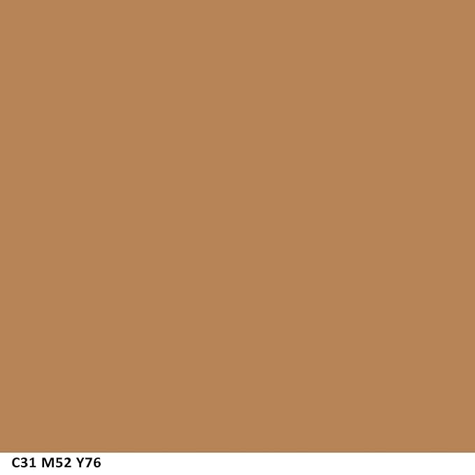 COVERGIRL Ready Set Gorgeous Fresh Complexion Concealer Deep 315/320, 37 oz (packaging may vary) (Pack of 2)-BrightBean Baby