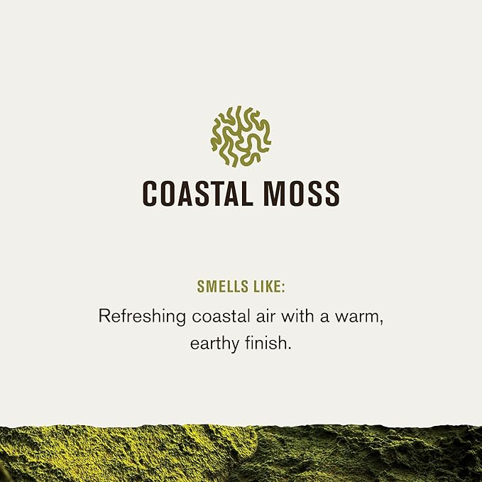 Every Man Jack Nourishing Coastal Moss Mens Body Wash for All Skin Types - Naturally Derived Ingredients - Cleanse and Hydrate Skin with Coconut and Glycerin - 24oz 2 Bottles-BrightBean Baby