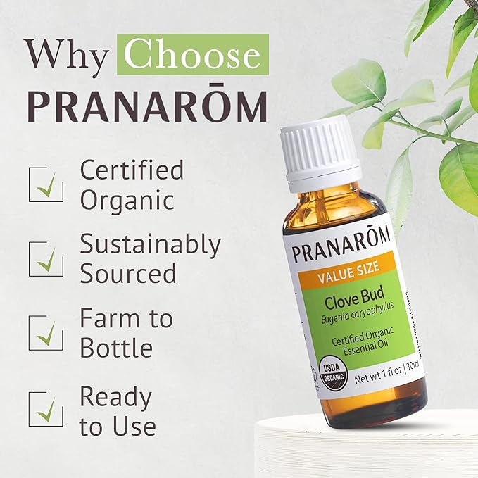 Pranarom USDA Certified Organic Clove Essential Oil (30ml), 100% Pure Undiluted Therapeutic Grade from Sri Lanka & Madagascar for Aromatherapy, Diffuser, Immune Support, DIY Cleaning, Warm Scent-BrightBean Baby