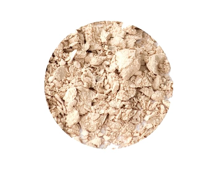 Gabriel Cosmetics Eyeshadow (Bone - Ivory/Neutral Matte), 0.07 oz, Natural, Paraben Free, Vegan,Gluten free,Cruelty free,No GMO,Velvety and Smooth matte finish, with Sea Fennel,for all skin types-BrightBean Baby