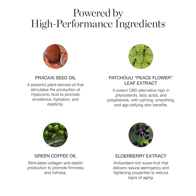 Ogee Sculpted Complexion Foundation Stick (Palmetto 2.80N - Medium Light Tan, Olive Undertones) Full Coverage Foundation Makeup - Instantly Balance & Even Complexion - 70% Organic Ingredients-BrightBean Baby