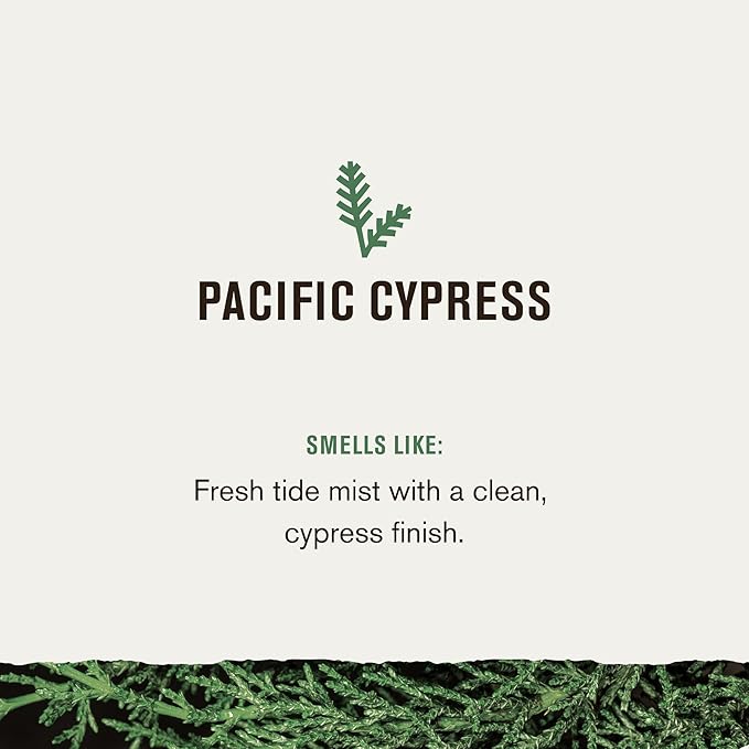 Every Man Jack Nourishing Pacific Cypress Mens Body Wash for All Skin Types - Naturally Derived Ingredients - Cleanse and Hydrate Skin with Coconut and Glycerin - 24oz 2 Bottles-BrightBean Baby