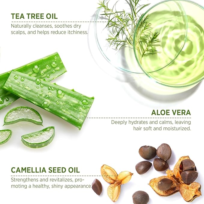 Roycederm Tea Tree Antifungal Shampoo and Conditioner: Complete Scalp Care Solution for Folliculitis, Dry, Itchy, and Flaky Scalp - Infused with Tea Tree Oil, Paraben & Sulfate Free-BrightBean Baby