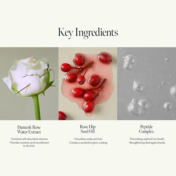 Rosy Night Repair Shampoo – Anti-Dandruff & Damage Repair with Damask Rose Water & Ceramide – Color Safe, Silicone & Sulfate Free (15.22 fl. Oz)-BrightBean Baby