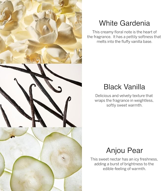Victoria's Secret Fine Fragrance Bundle Noir Tease-BrightBean Baby
