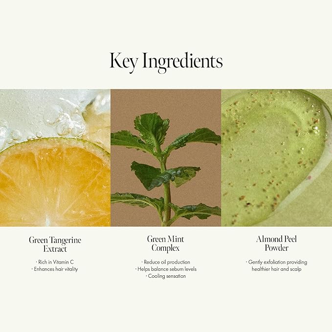 Lime Sunday Refresh Shampoo with Vitamin C, Korean Jeju Tangerine, Mint & Almond Powder for Oily Scalp Care – Exfoliating, Deep Cleansing, Lime Citrus Scent, Silicone & Paraben-Free (15.22 fl.oz)-BrightBean Baby