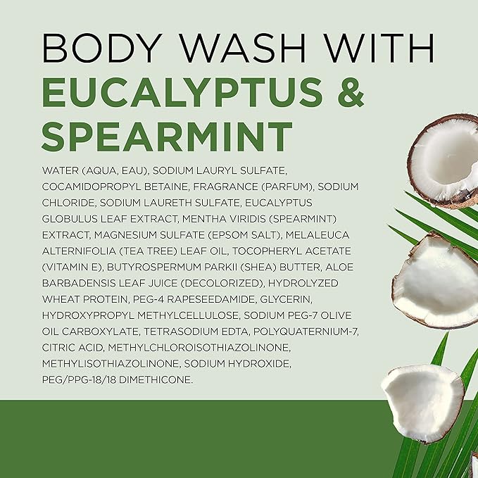 Dr Teal's Body Wash with Pure Epsom Salt, Relax & Relief with Eucalyptus & Spearmint, 24 fl oz (Pack of 4) (Packaging May Vary)-BrightBean Baby