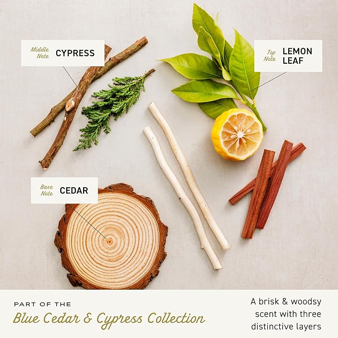 Cremo Cologne for Men - Blue Cedar & Cypress Mens Cologne Spray- A Woodsy Scent with Notes of Lemon Leaf, Cypress and Cedar, Fragrances For Men, 3.4 Fl Oz-BrightBean Baby