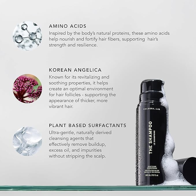 Caldera + Lab The Shampoo | Men’s Shampoo for Healthy Hair, Sulfate-Free Daily Cleanser, Dermatologically Tested - All Hair Types-BrightBean Baby