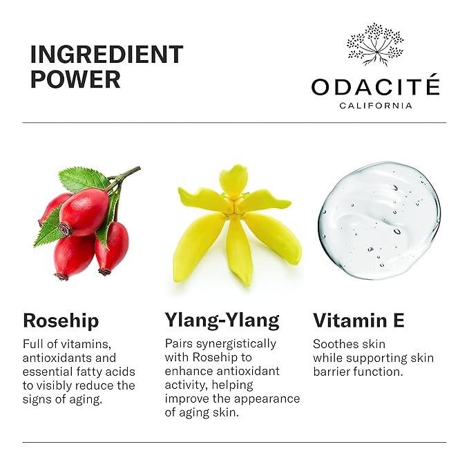 Odacité Anti Aging Serum Concentrate with Rosehip + Ylang-Ylang - Lightweight Facial Serum For Mature Skin, Fine Lines, Nourishes for Look of Plump, Youthful Skin - 0.17 Fl. Oz-BrightBean Baby
