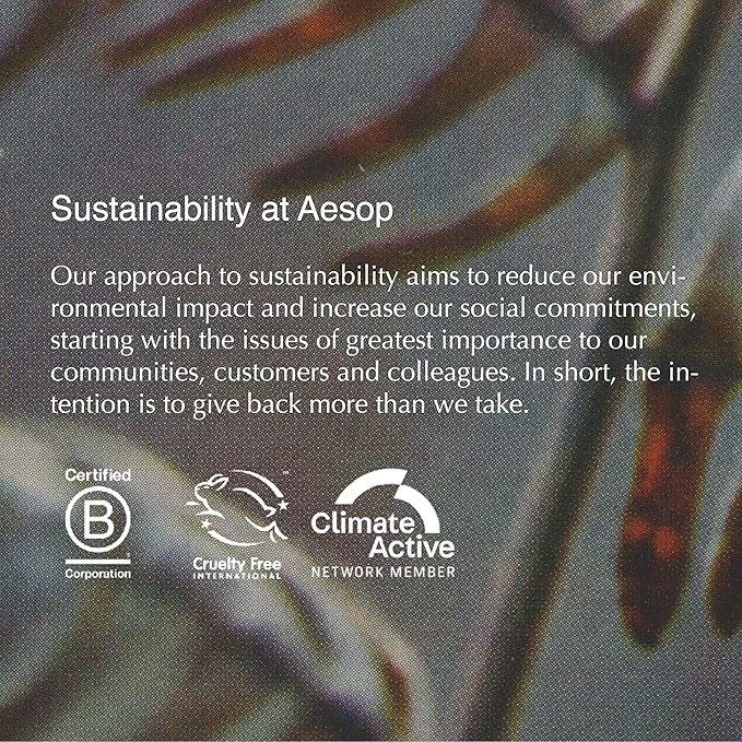 Aesop Classic Shampoo | Gentle Formulation | Leaves Hair Shiny, Soft, Freshened | Rosemary Leaf, Cedarwood Bark, Juniper Berry | 16.9 oz / 500mL-BrightBean Baby