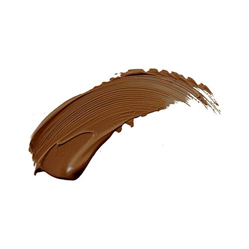 Perfection Multi-Use Concealer (COLOR - EBONY FCPF12)-BrightBean Baby