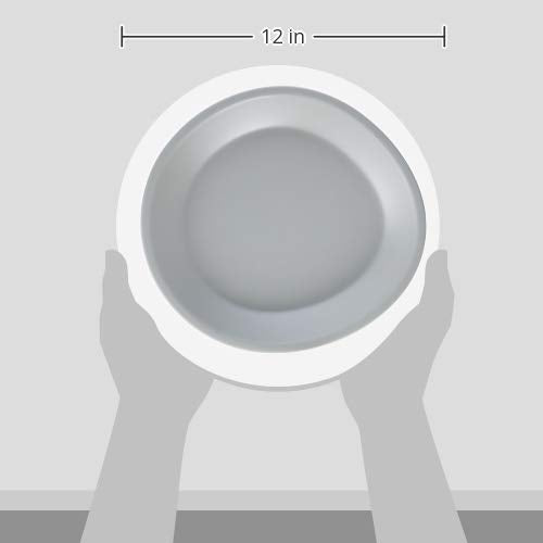 Carlisle FoodService Products Ridge Resuable Plastic Plate Coupe Plate for Home and Restaurant, Melamine, 10 Inches, Cement, (Pack of 12)