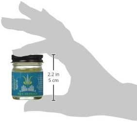 MJ’s Herbals Arnica Salve | Organic, Maximum Strength, Immediate Relief for Sore Muscles & Feet | Bruise Recovery, Fantastic Massage & After Yoga Balm | No Parabens, No Synthetics (1 oz)-BrightBean Baby