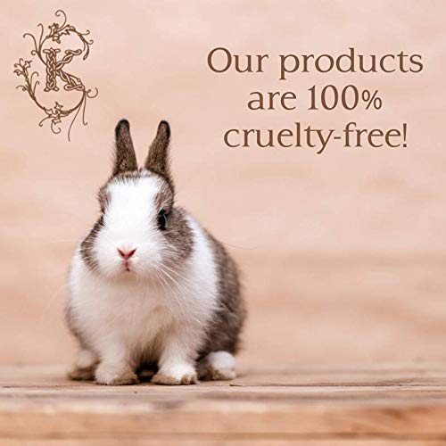 Shelley Kyle Lorelei Mini Gift Set, Includes Travel Size Perfume, Lotion, and Shower Gel, Packaged in Beautiful Cream and Gold Gift Box with Ribbon-BrightBean Baby