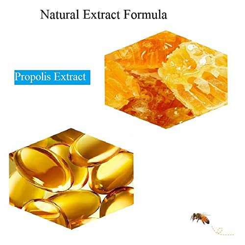 2PCS Lip Balm Honey Pot,Honey & Strawberry Lip Balm, Propolis Moisturizing Honey Lip Mask Lip Balm, Hydrating & Prevention Dry and Cracked Lip Scrubs Exfoliator-BrightBean Baby