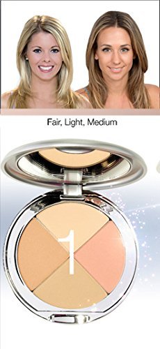 Christina Cosmetics Perfect Pigment 1 Compact and Retractable Brush Duo!-BrightBean Baby