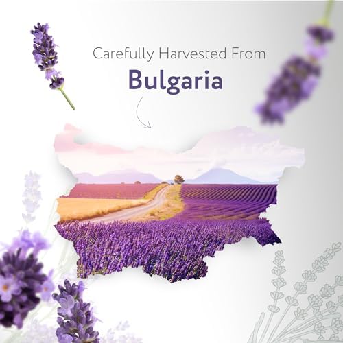 HBNO California Bottled Organic Lavender Essential Oil 1 fl oz (30ml) - USDA Certified Organic Lavender Oil for Skin, Perfect for Cleaning, Aromatherapy, DIY & Diffuser-BrightBean Baby