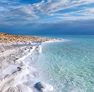 Natural Elephant Dead Sea Bath Salt |19 Pounds Bulk Bag | 100% Natural and Pure| Fine Grain | Perfect for Bathing and Soothing Soaks-BrightBean Baby