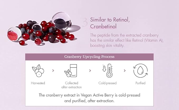 leegeehaam Dr.Ceuracle Vegan Active Berry First Essence - Antioxidant Hydrating Serum with Resveratrol Capsules for Rejuvenation (150ml / 5.07 fl. oz.)-BrightBean Baby