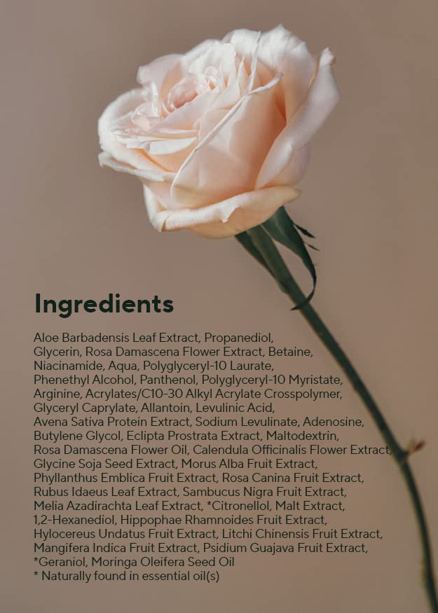 AROMATICA Reviving Rose Infusion Serum 3.38oz / 100ml, Vegan, Rejuvenating Hydration Serum, Vitality Serum for dry skin | with Damask Rose Water and Rose Oil-BrightBean Baby