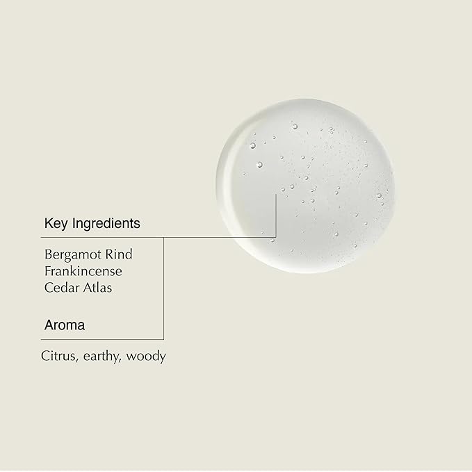 Aesop Shampoo | Soften Hair, Restore Shine | Bergamot Rind, Frankincense, Cedar Atlas | 16.9 oz / 500mL-BrightBean Baby