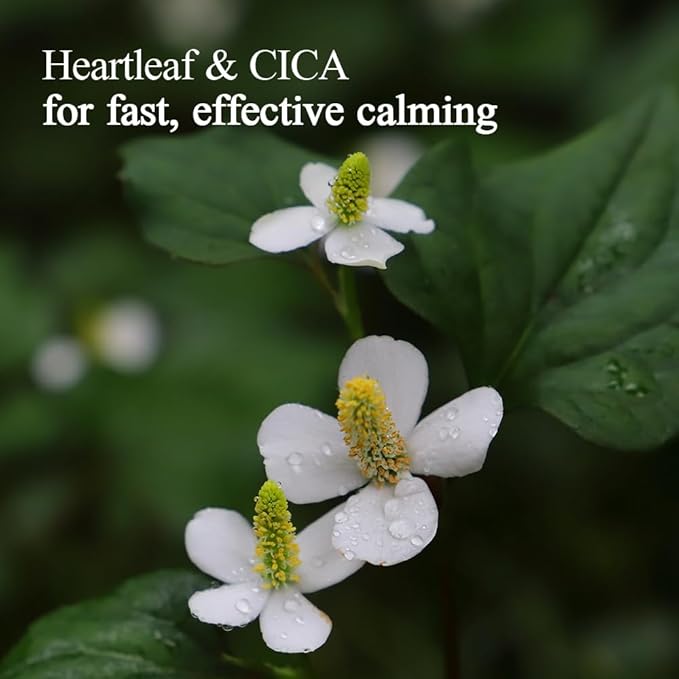 Pyunkang Yul PKY Calming Relief Gel Wash Off Pack 100g, Soothing & Refreshing Gel Mask for Sensitive Skin-BrightBean Baby