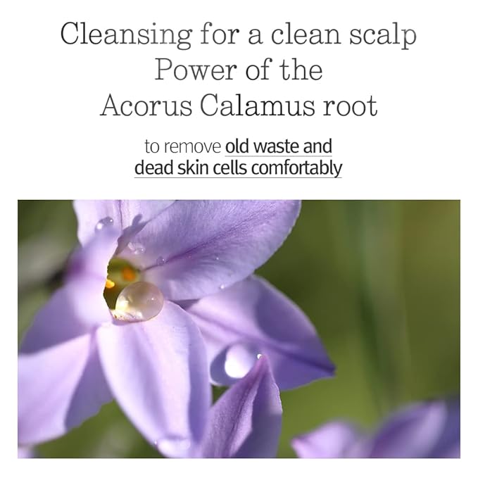 PYUNKANG YUL Hair&Body Travel Kit | Shampoo, Conditioner, Body Wash, Lotion, Spa Kit, 4 items | Low pH, Moisturizing, Soothing, Refreshing, Fragrance Free | Korean Skin Care | 3.38 Fl.Oz. x 4ea-BrightBean Baby