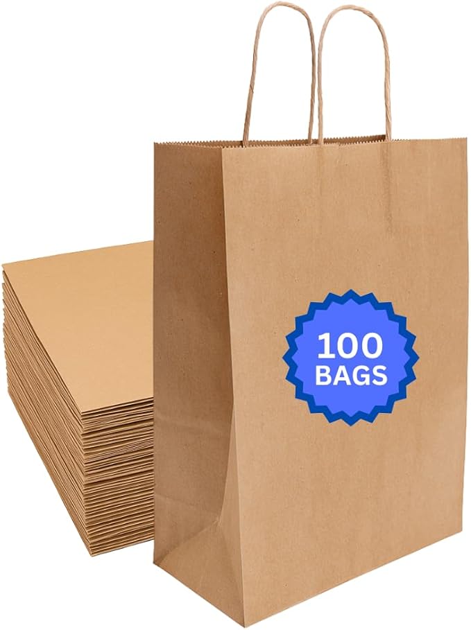 ASSUREPAK DIY Earth Friendly Paper Bags - 60LB - 10"x6.75"x12" - 100 Bags - 90 GSM - Kraft/Natural - Gift Bags for Decorating & Graduation Parties