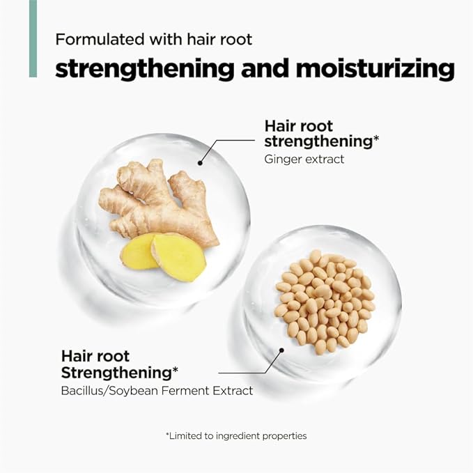 AMOS PROFESSIONAL The Green Tea Shampoo Refresh for Thinning Hair, Korean Shampoo for Oily Scalp l Deep Cleans, Strengthening Hair, All Hair Types, 16.9 fl.oz-BrightBean Baby