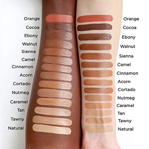 Perfection Multi-Use Concealer (COLOR - EBONY FCPF12)-BrightBean Baby