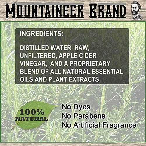 Mountaineer Brand Shine Reducer and PH Balance for Face and Scalp | Anti Shine | Mattifying Bald Head Care for Men | All Natural Ingredients | Refreshing Natural Scent | 4 oz-BrightBean Baby