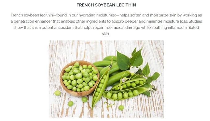 Pistaché Skincare Pistachio Oil 5-Pc Mini Collection (Travel) + Body Butter, Hand Cream, Biscotti Perfume, Eye Cream & Face Moisturizer + Hydrates and Nourishes + Vitamin E + Antioxidant Protection-BrightBean Baby