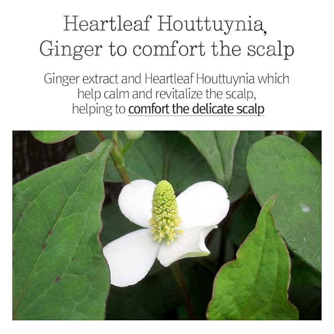 PYUNKANG YUL Hair&Body Travel Kit | Shampoo, Conditioner, Body Wash, Lotion, Spa Kit, 4 items | Low pH, Moisturizing, Soothing, Refreshing, Fragrance Free | Korean Skin Care | 3.38 Fl.Oz. x 4ea-BrightBean Baby