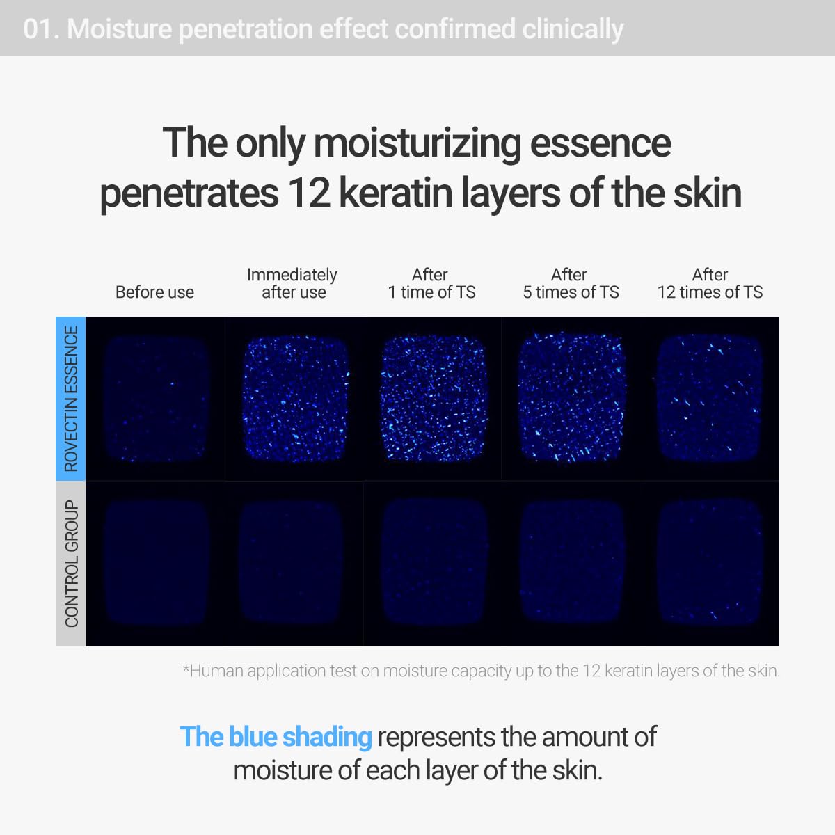 ROVECTIN Aqua Hyaluronic Essence (Activating Treatment Lotion) - 7 Layers Hyaluronic Acid Facial Toner with Niacinamide & Panthenol, Vegan Korean Skin Care (6.08 fl.oz)-BrightBean Baby