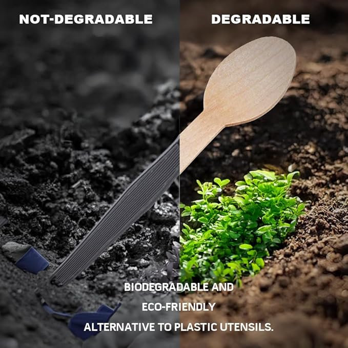 Disposable Wooden Spoons – 360 Pcs Wooden Compostable Spoons, Biodegradable Eco-Friendly Utensils Alternative to Plastic Cutlery for Parties, Weddings, Events & Camping