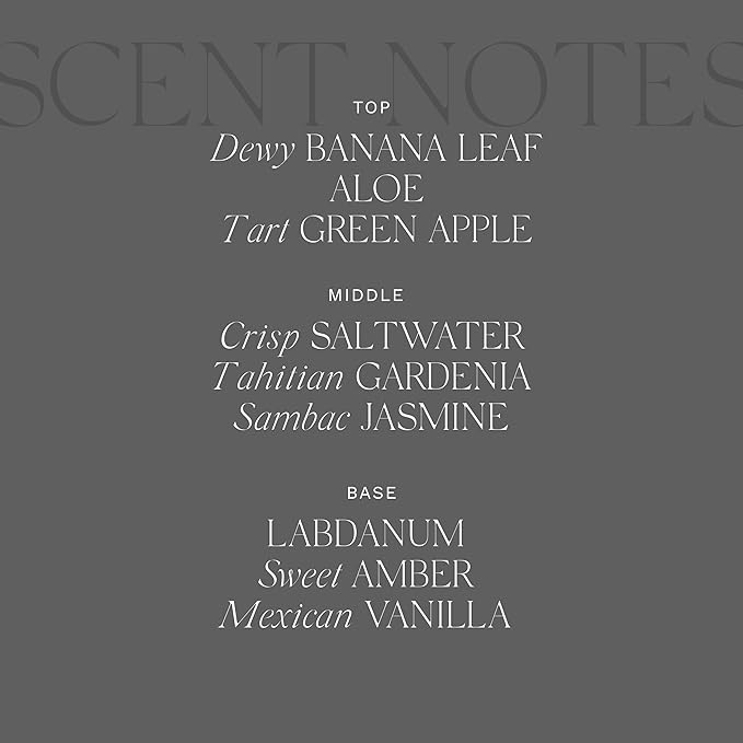 Antica Farmacista Body Moisturizer - Moisturizing Scented Lotion - Premium Body Moisturizer - Luxury Gift for Women & Men - Hand & Skin Hydration - Lush Palm, 10 Fl Oz-BrightBean Baby