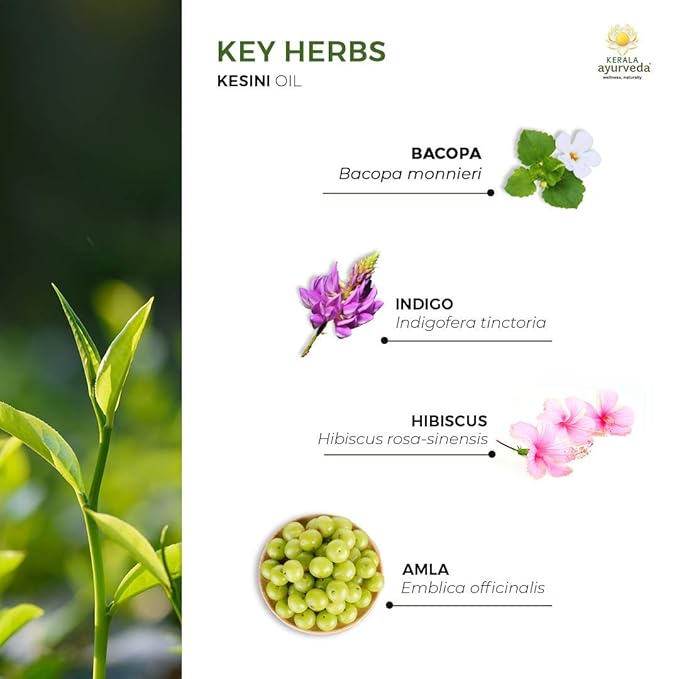 Kerala Ayurveda Kesini Hair Oil (3.38 fl oz) | Herbal Blend with Bacopa, Hibiscus, Amla, Indigo, Castor & Coconut Oil | Deeply Nourishes Dry Scalp & Strengthens Hair | Paraben-Free, Mineral Oil-Free-BrightBean Baby