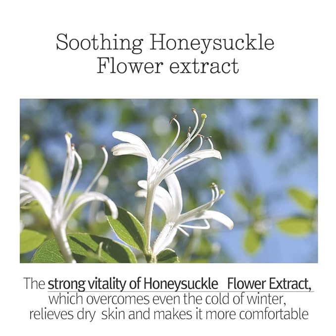 Pyunkang Yul PKY Sleeping Mask for Creating Moisture Barrier during Night, Ceramide and Hyaluronic Acid for Skin Hydration, Zero Irritation, Korean Skincare (4.05 Fl. Oz, 120ml)-BrightBean Baby