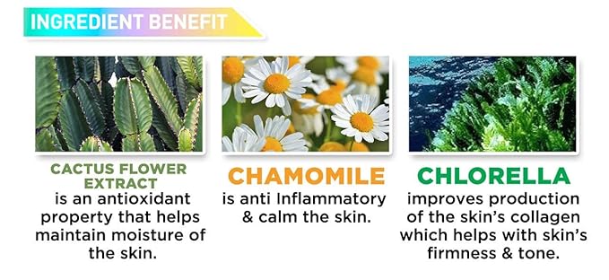 J.CAT BEAUTY Aquasurance Compact Foundation - Natural-BrightBean Baby