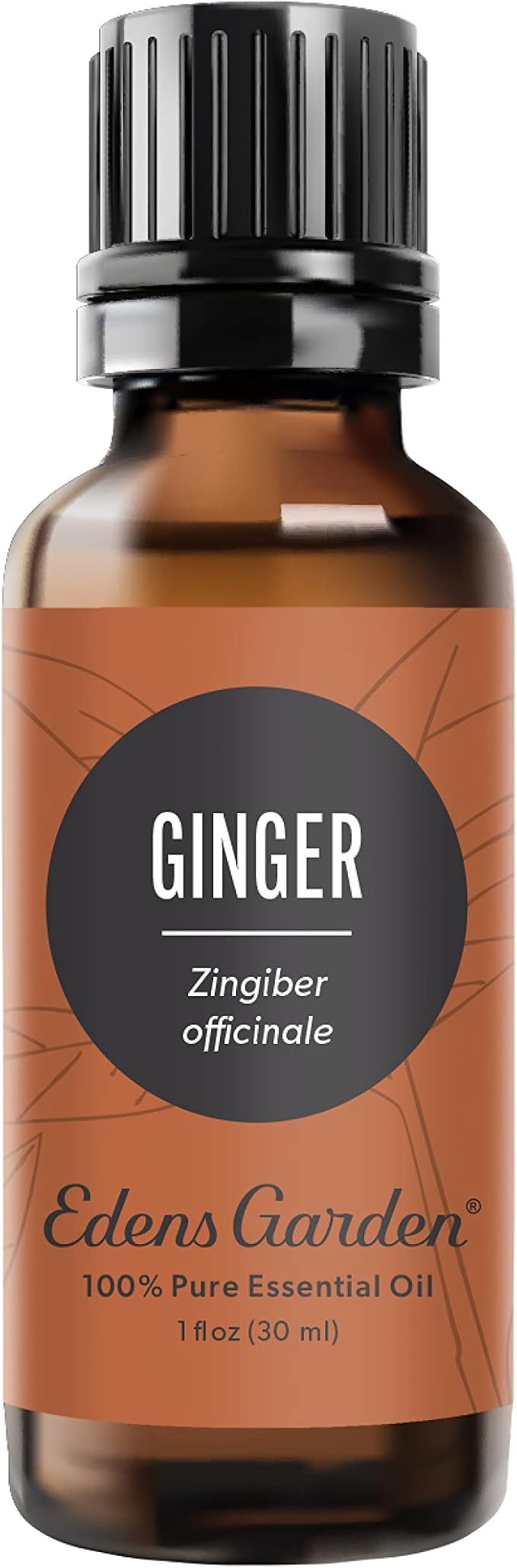 Edens Garden Ginger Essential Oil- 100% Pure Premium Grade, Undiluted, Natural, Therapeutic, Aromatherapy, The Best for Diffuser, Skin, Candle, Kid Safe 30 ml (1 fl oz)-BrightBean Baby