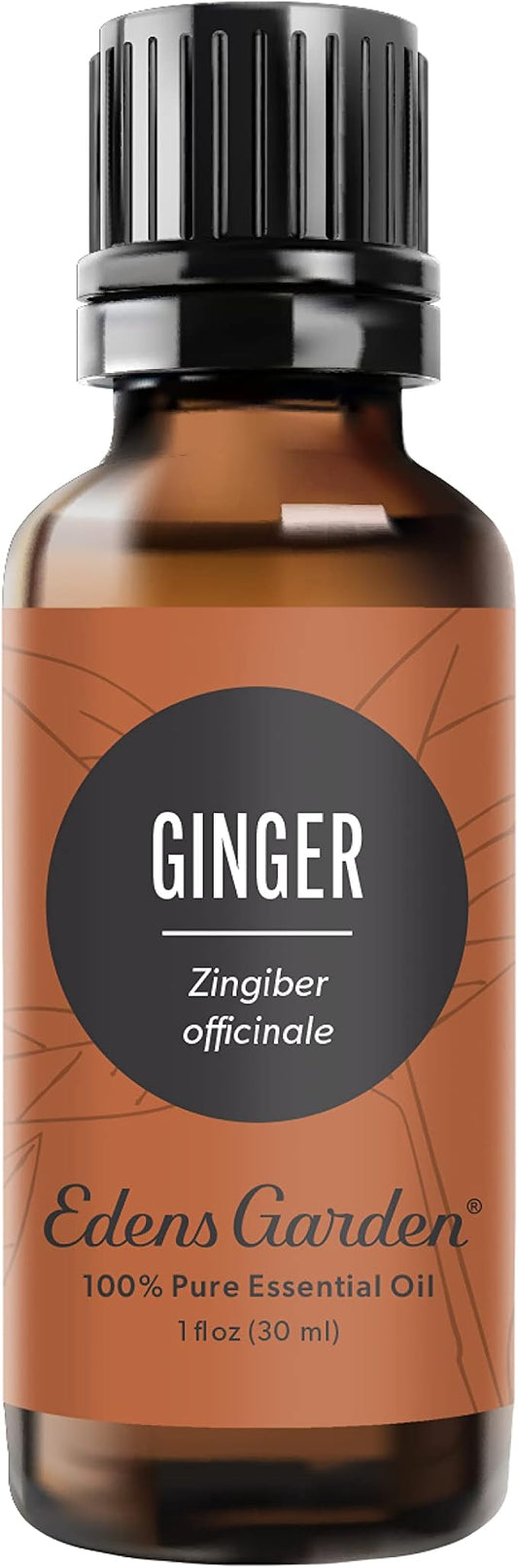 Edens Garden Ginger Essential Oil- 100% Pure Premium Grade, Undiluted, Natural, Therapeutic, Aromatherapy, The Best for Diffuser, Skin, Candle, Kid Safe 30 ml (1 fl oz)-BrightBean Baby