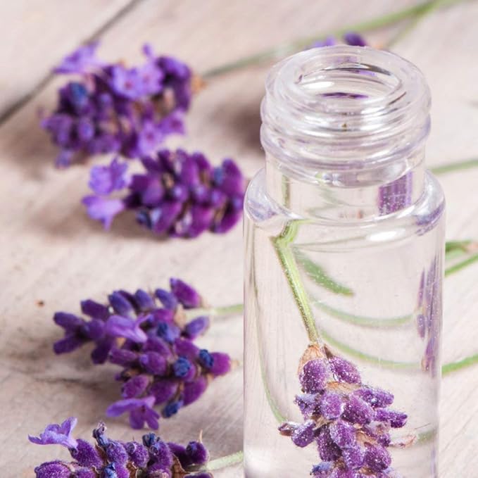 OPO Lavender Water Hydrosol - Pure Steam Distilled Natural Non GMO Calming Bulk Body, Face, Facial Toner, Aromatherapy, Set Makeup, Cleanser Mist Spritz (128 oz / 1 Gallon)-BrightBean Baby