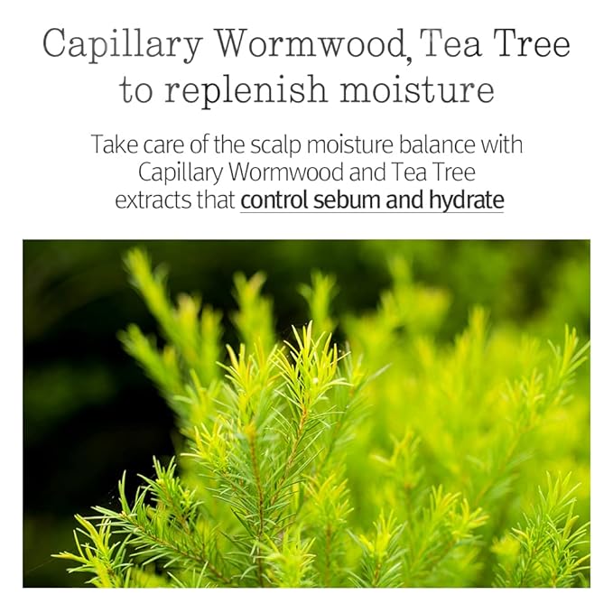 PYUNKANG YUL Hair&Body Travel Kit | Shampoo, Conditioner, Body Wash, Lotion, Spa Kit, 4 items | Low pH, Moisturizing, Soothing, Refreshing, Fragrance Free | Korean Skin Care | 3.38 Fl.Oz. x 4ea-BrightBean Baby