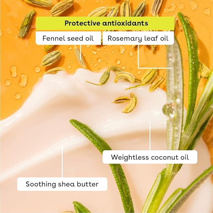 EOS Limited Edition Holiday Collection- Candy Cane Swirl Lip Balm & Vanilla Cashmere Hand Cream, 24-Hour Hydration, 2-Pack, Clear-BrightBean Baby