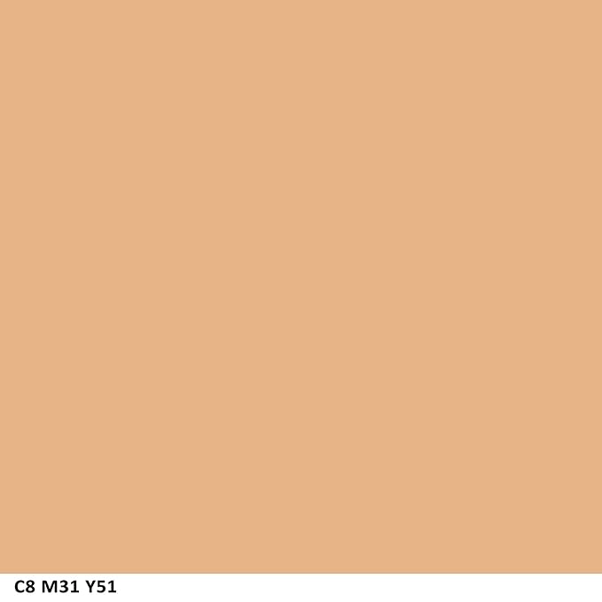 COVERGIRL Ready Set Gorgeous Fresh Complexion Concealer Medium/Deep 305/310, 37 oz (packaging may vary) (Pack of 2)-BrightBean Baby